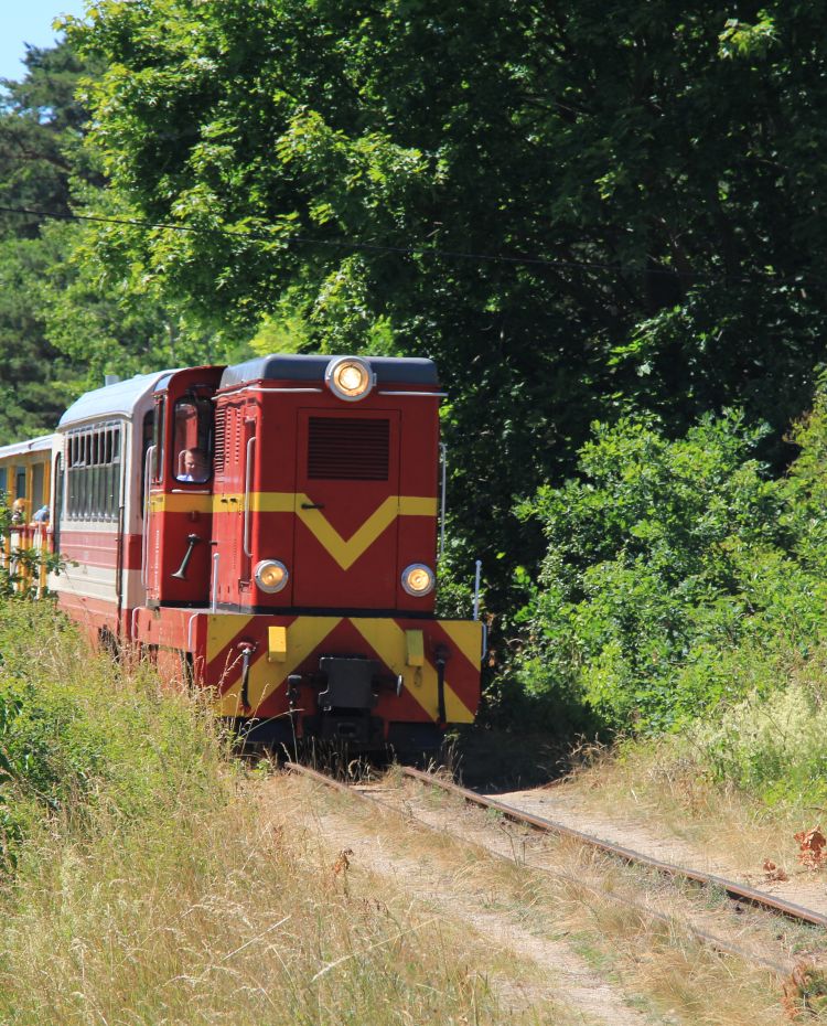 Kolejka Wąskotorowa