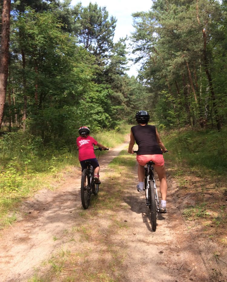 Wypożyczalnia rowerów