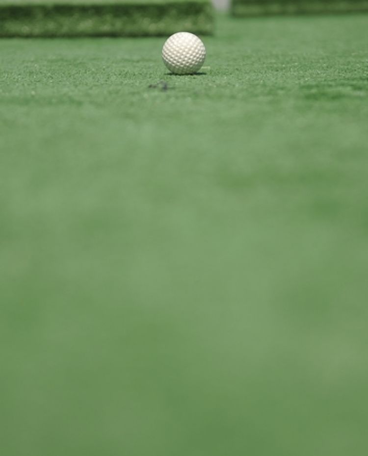 Pole minigolfowe